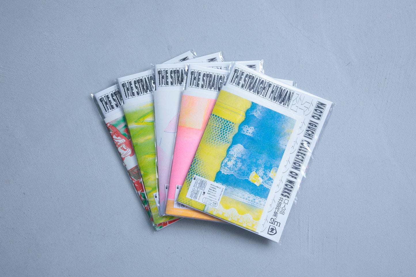 THE STRAIGHT HUMAN |NAOTO IGUCHI COLLECTION OF WORKS