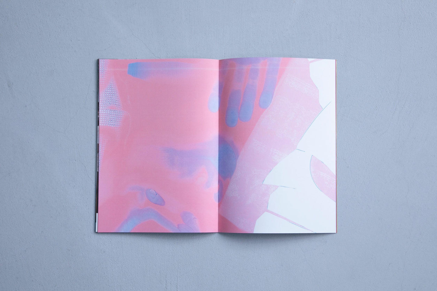 THE STRAIGHT HUMAN |NAOTO IGUCHI COLLECTION OF WORKS